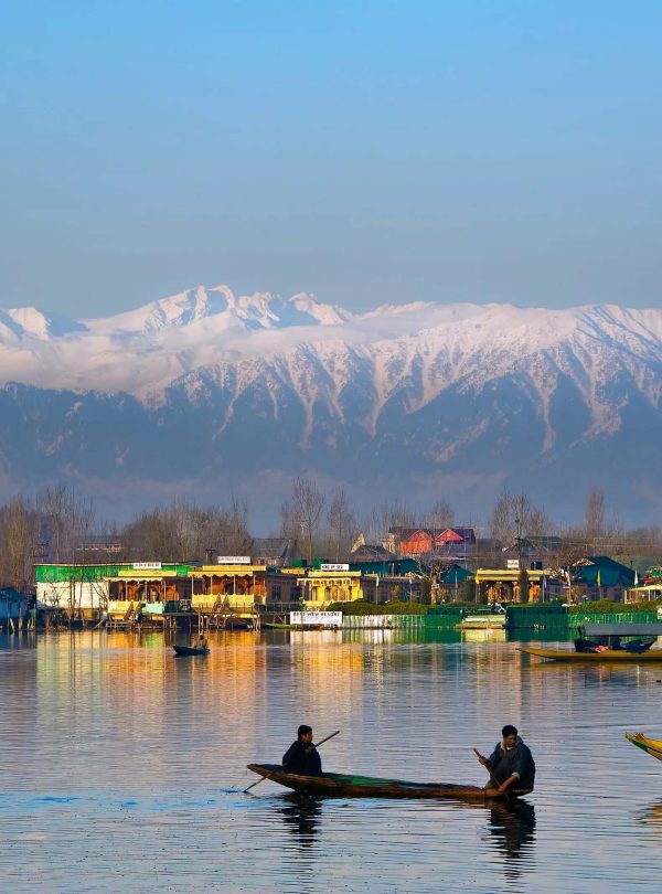Kashmir Honeymoon Tour - Tulip Festival
